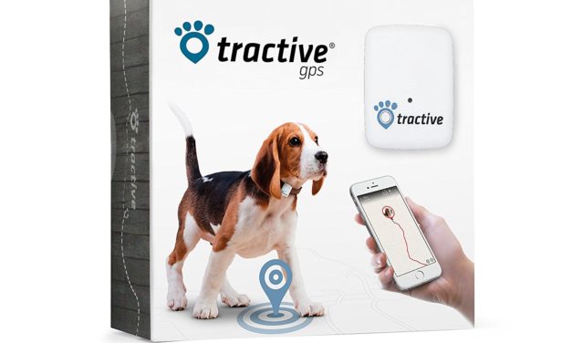 Tractive GPS Pet Tracker: Review & Features