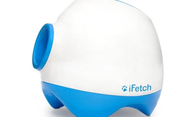 iFetch Too Ball Launcher For Large Dogs: Review