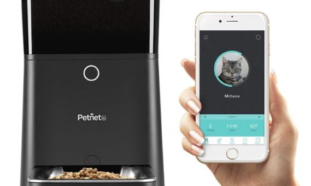 Petnet Smartfeeder | Automatic Dog Feeder Reviews