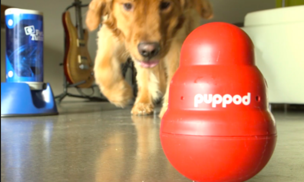 PupPod Review – Smart Dog Toy